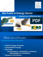 Bio-Fuels in Energy Sector: - Production & Effective Use