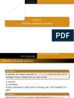 Curs Numere Rationale Pozitive PDF
