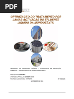 DM RicardoFerreira 2010 MEQ