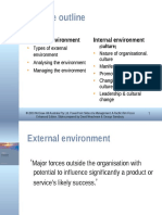 Lecture Outline: External Environment Internal Environment