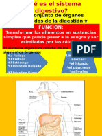 Diapositivasdelsistemadigestivo Jlo 2010 121107190747 Phpapp02