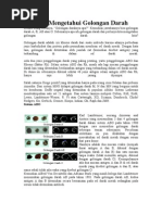 Download Manfaat Mengetahui Golongan Darah by Selvianti Djarudju SN34139478 doc pdf