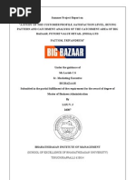 Download Bigbazaar Catchment area Analysis pattom Trivandrum by lijuvj SN34140072 doc pdf