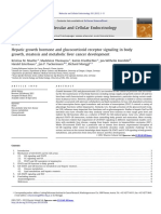 Hepatic Growth Hormone and Glucocorticoid Receptor Signaling