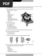 2008-11-13-15-0-55-109__teste_avaliacao_01.pdf