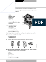 2008 11 13 15 0 55 109 - Teste - Avaliacao - 01 PDF