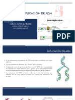 Exposición Replicación ADN