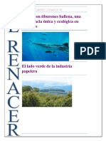 Parques Naturales.docx Periodico Final (1)