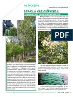 22 MORINGA.pdf