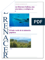 Parques Naturales - Docx Periodico Final Corre