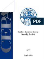 Central Europe Energy Security Schism20080724