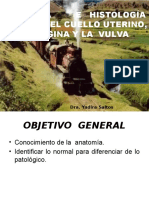 Anatomia e Histologia Normal Del Cuello Uterino. Primera Clase Post Grado