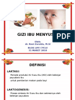 Gizi Ibu Menyusui