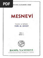 Mesnevi - Şerh, Tahirul Mevlevi 10 (9.312-10.799 NL Beytler)