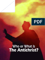 WHO OR WHAT IS THE ANTICHRIST.pdf