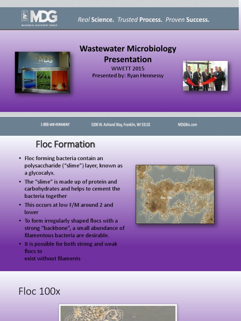 Wastewater Microbiology Overview | PDF | Sewage Treatment | Nutrients