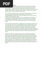 Download Adakah Ini Pokok Bidara by safwan_utara88 SN34147057 doc pdf