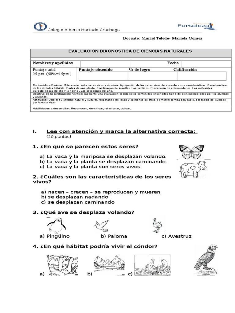 Diagnostico de Ciencias Naturales 2° basico | Noche | Dom