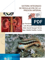 Sistema Integrado de Regulación de La Presión Arterial
