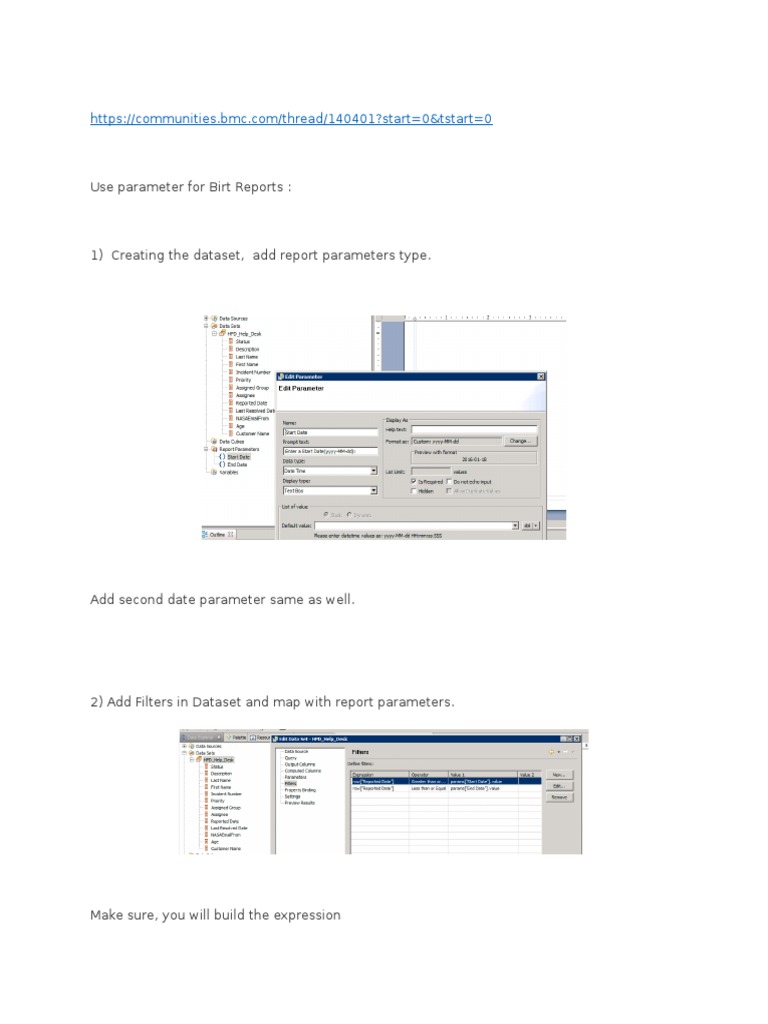 Use Parameter For Birt Reports | PDF