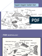 1 Pengenalan Bag BDN Ikan