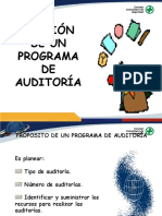 Charla Gestión de Un Programa de Auditoría - RUC