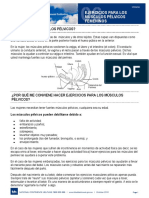 Suelo Pelvico PDF