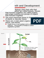 Plant Structures and Physiology Notes