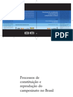 Delma Pessanha Neves e Maria Aparecida de Moraes Silva - Processo de constituiçãoe reprodução do campesinato no Brasil vol.2.pdf