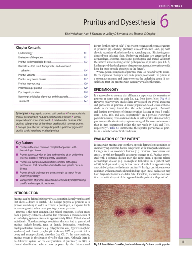 06 Pruritus and Dysesthesia PDF Dermatitis Cutaneous Conditions