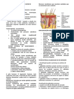 resumo histo.pdf