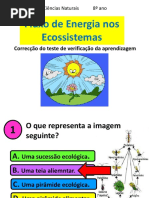 8.Fluxo.energia.teste.4.Solucoespdf