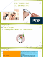 Causas de Mortalidad en Mexico