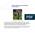 Download MANFAAT DAUN KELOR by anastasia loaranda SN341537640 doc pdf
