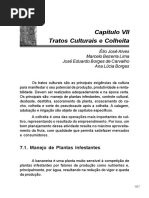 Livro Banana Cap 7ID-3pTuregodF