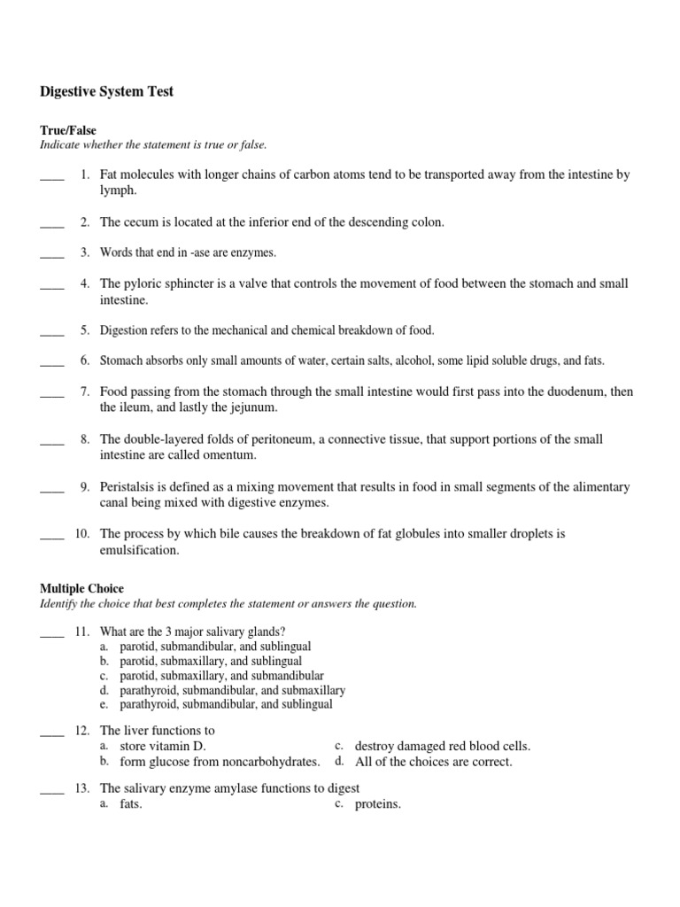 Digestive System Test | PDF | Human Digestive System | Digestion