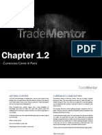1 2 Currencies Come in Pairs PDF