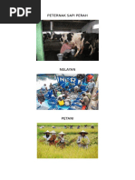 1070+ Kolase Daun Gambar Ikan HD Terbaik