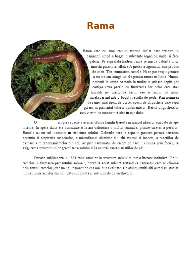 Rama | PDF