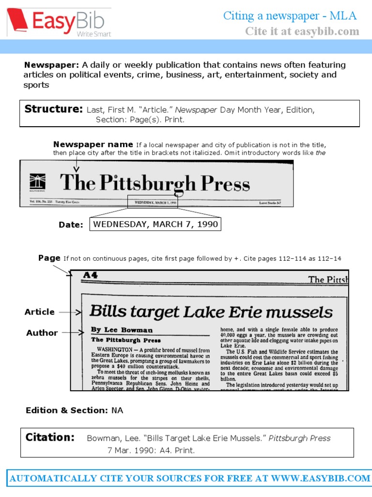 Newspaper - MLA | PDF | World Wide Web | Mass Media