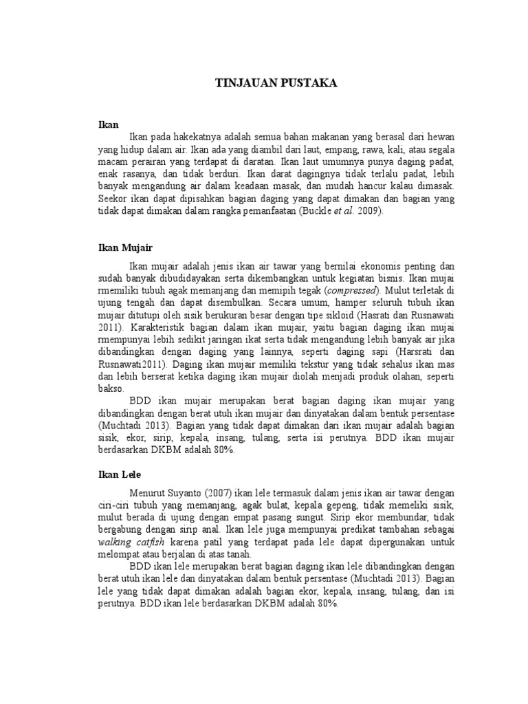 TINJAUAN PUSTAKA