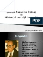 Ștefan Augustin Doinaș