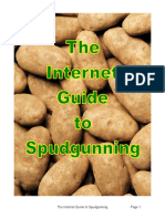 The IGS - Safety Guide for Spudgunning