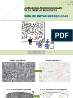 Construcc_modelo Metabolico in Silico