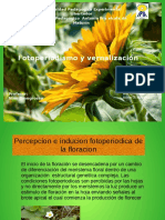 Fotoperiodismo y vernalización en la floración de plantas