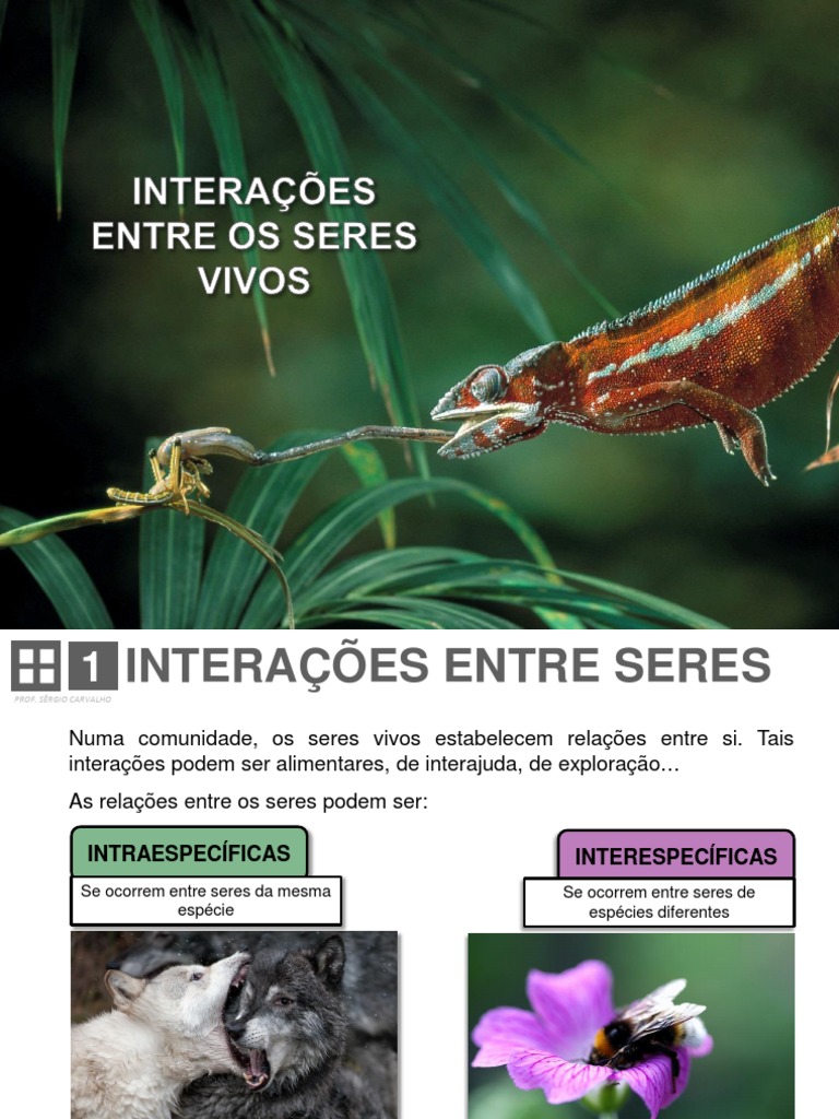 05. Interações Entre os Seres Vivos.pdf | Parasitismo | Predação