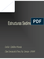 estructuras-sedimentarias.pdf