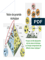 2-1-_Pyramides_ecologiques.pdf