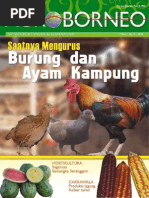 Download agroborneo edisi 02 by agroborneo SN34160930 doc pdf