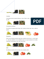 Chiquimulavultivos Por Municipio